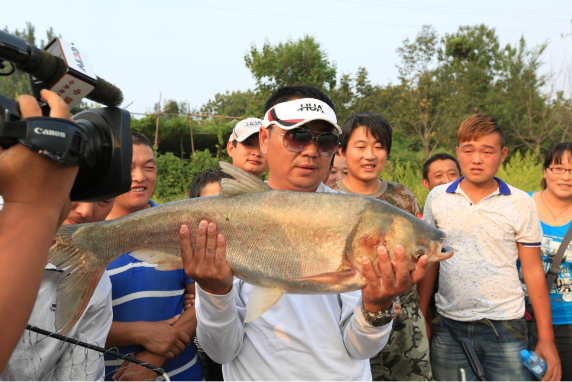 钓技革命:崔秉亮与单饵钓鲢鳙的传奇