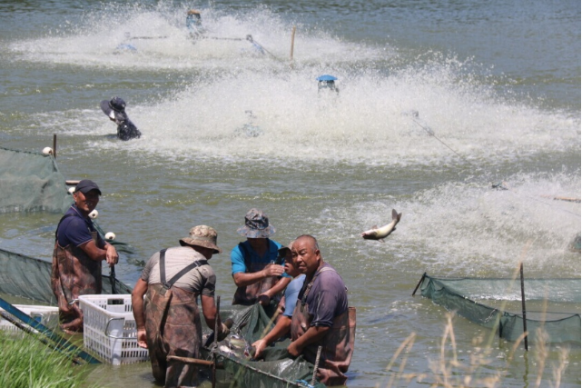 1755568248300503.png 2.png