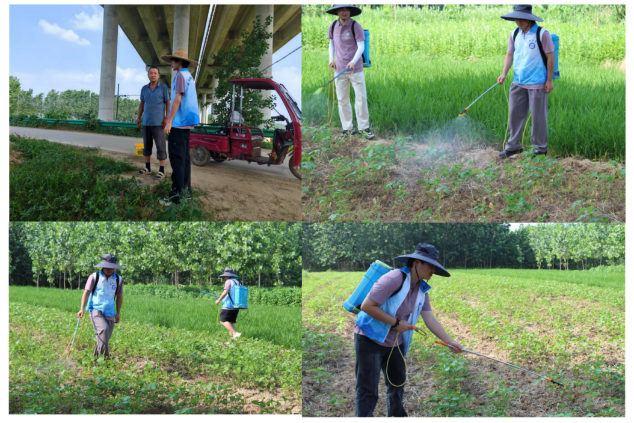 1755762158693117.png 02.png