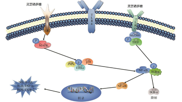 1762838637507999.png 03.png