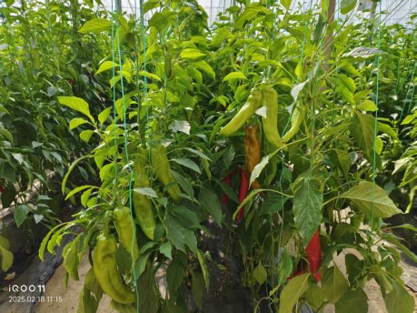 1767273061547061.png 14.png