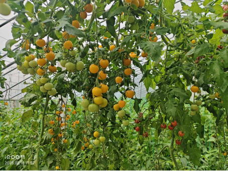 1767273072477321.png 15.png