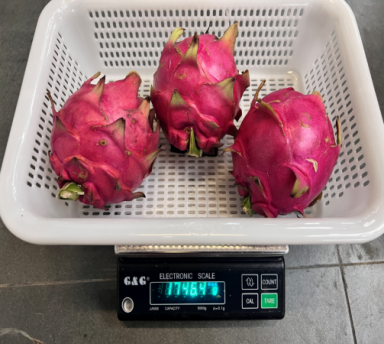 1767273097489521.png 16.png