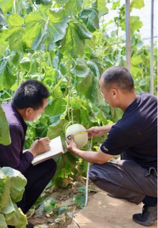 1767273155283803.png 18.png