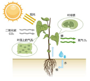 1768213852564637.png 1.png