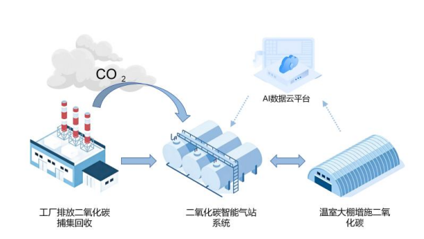 1768213859708019.png 2.png