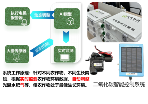 1768213900300329.png 4.png