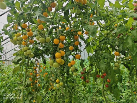 1768213931257967.png 6.png