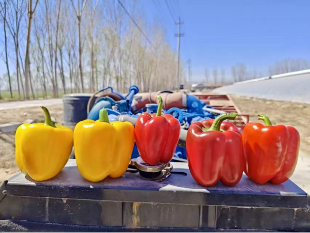 1768213969946235.png 7.png