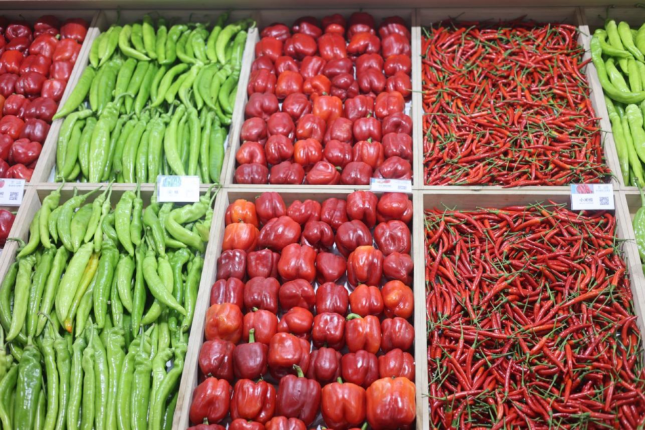 1768214041720627.png 010.png