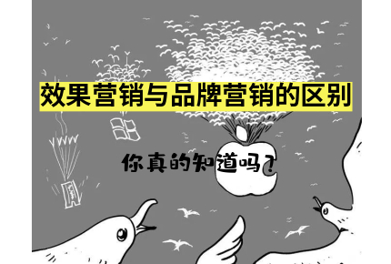 效果营销与品牌营销的区别，你真的知道吗？