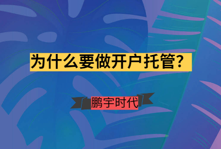 什么是竞价托管?为什么要做?
